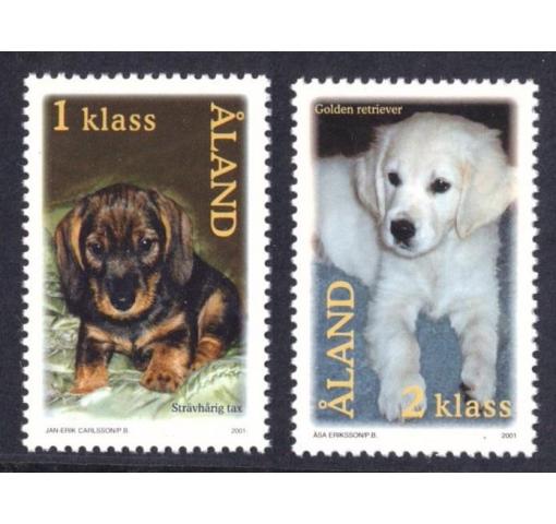 ALAND, Dogs 2001