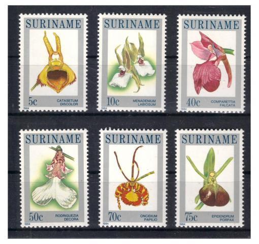 SURINAME, Orchids 1984 **