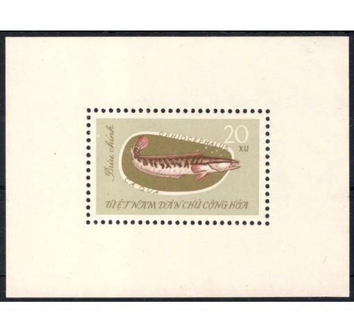 NORTH VIETNAM, Fish M/S 1963 **