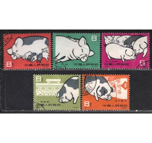 PRC, Pig Breeding (S40) 1960 o