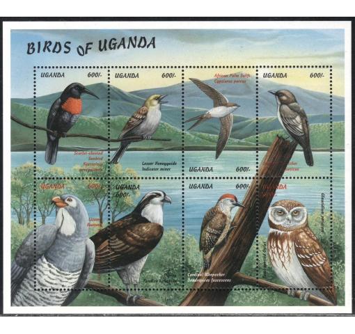 UGANDA, Birds 1999 **