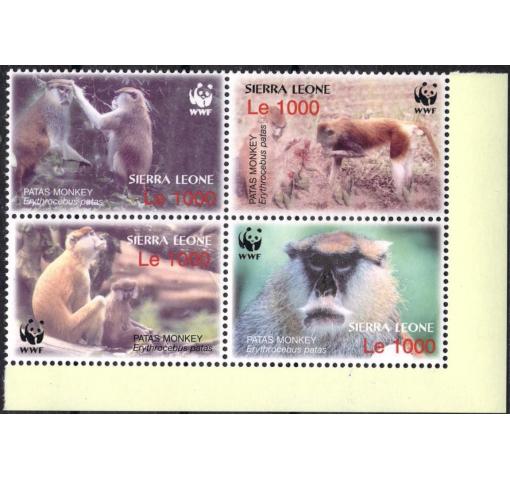 SIERRA LEONE, Patas Monkeys/WWF 2004 **