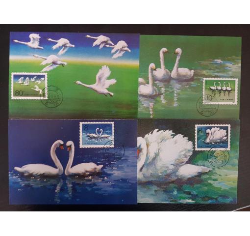 PRC, Swans (T83) 1983 MC