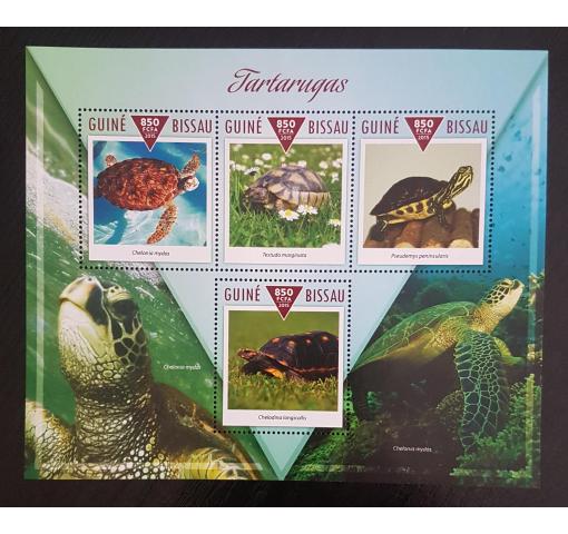 GUINEA, Turtles 2015 **