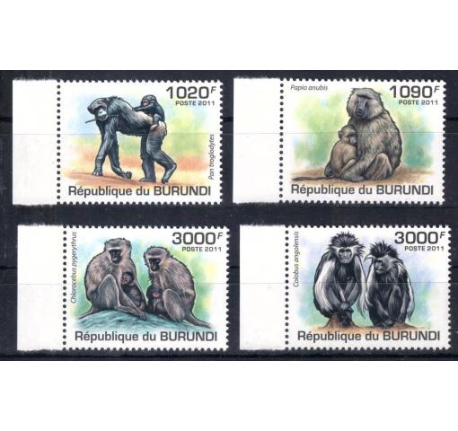 BURUNDI, Monkeys 2011 **