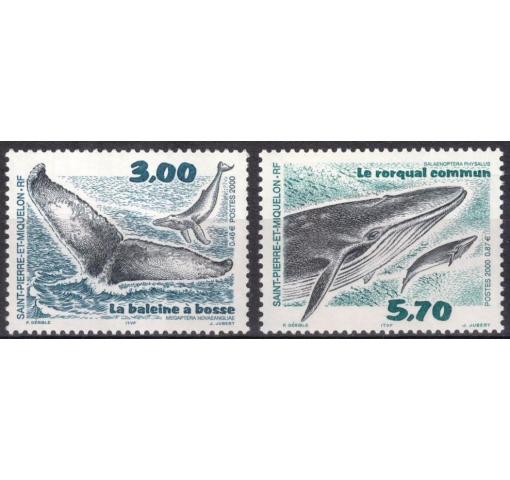 ST. PIERRE+MIQUELON, Whales 2000 **